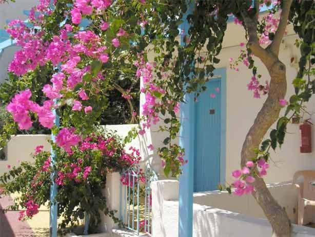 Castelia Bay Hotel Amoopi Bagian luar foto